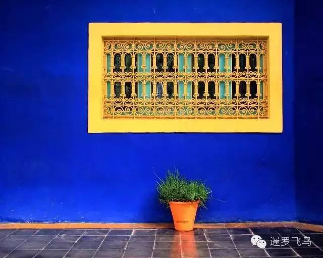 LP年度最佳三毛最爱北非后花园摩洛哥免签啦！