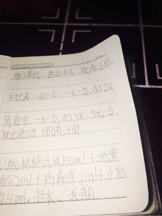 泰迪得细小治疗全过程,泰迪细小的症状和治疗方法