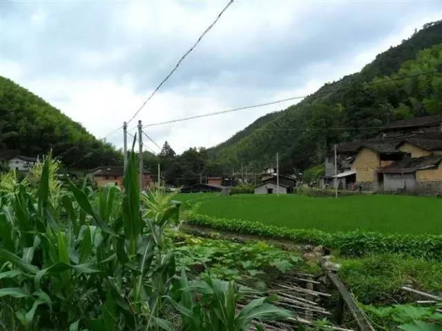 忆龙泉怎么样,忆龙泉儿童