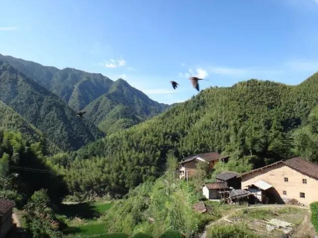 忆龙泉怎么样,忆龙泉儿童