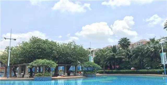 广州市桥星海公园游泳馆,广州东湖游泳馆开放时间