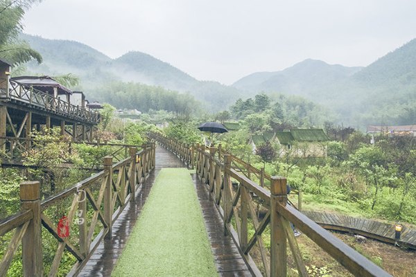 养在深闺里无人知,养在深闺无人识全文