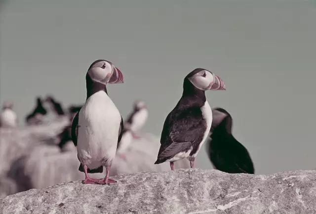 屏住呼吸的美,25张美到让人窒息的航拍照片