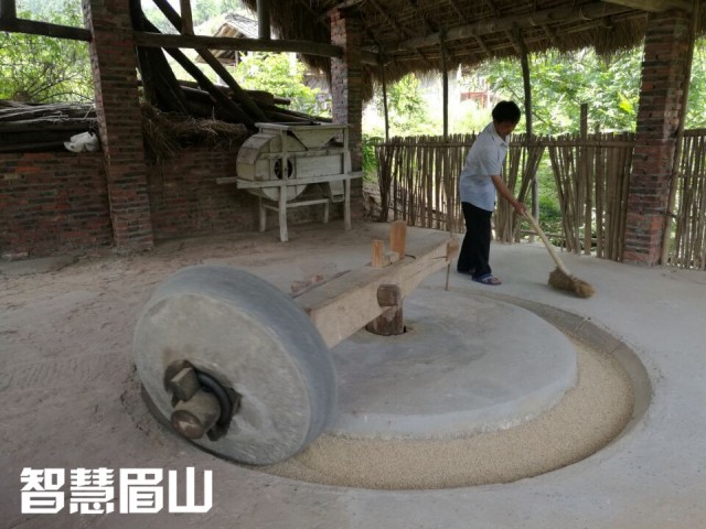 眉山百年古水碾“强悍”依旧，碾出米来“香得很”！