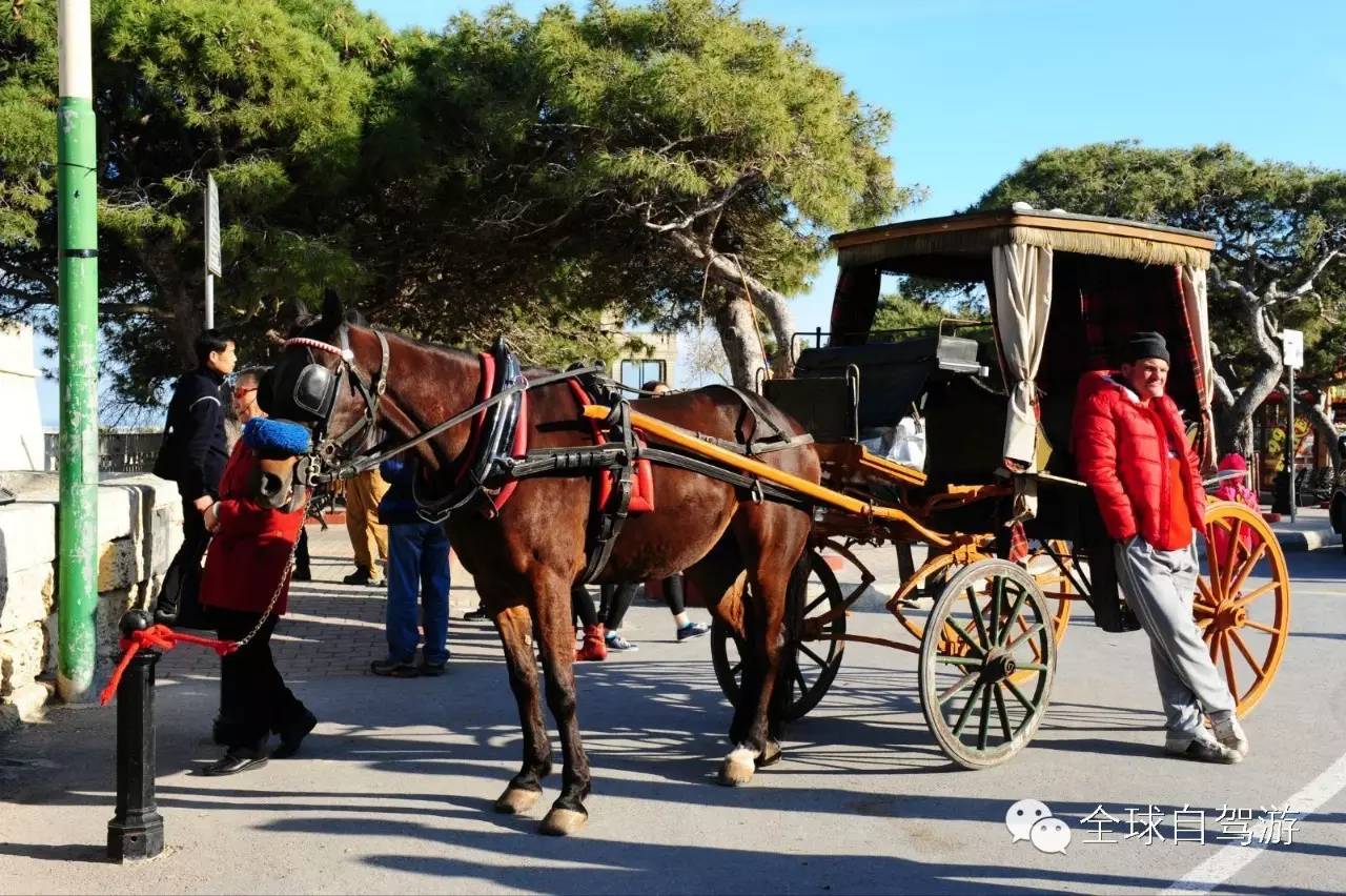 马耳他人NB成这样，不去自驾一圈，你都不知道！