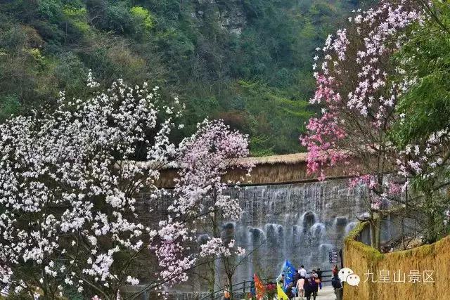 九皇山风景区,九顶皇山
