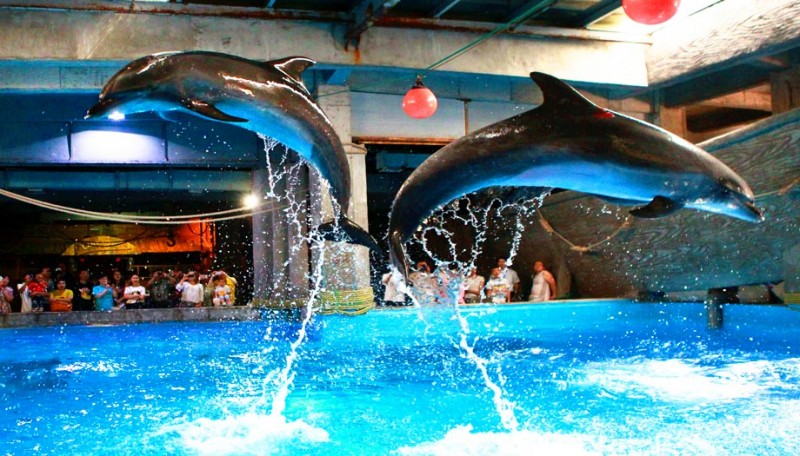 合肥逛吃的地方推荐,合肥逛吃攻略来了