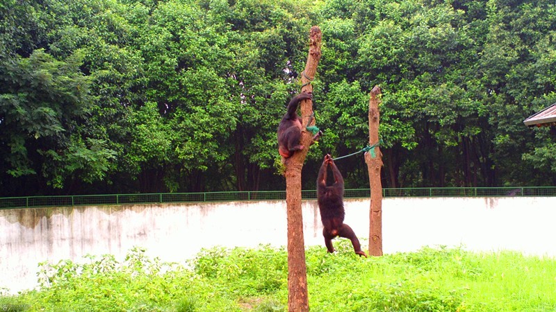 合肥逛吃的地方推荐,合肥逛吃攻略来了