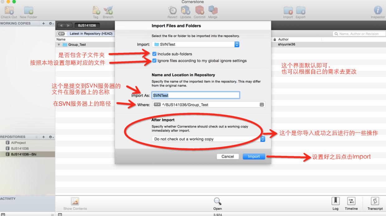 svn小乌龟使用方法,svnrevert怎么使用