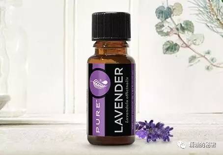 各种精油功效,有什么护肤精油好用