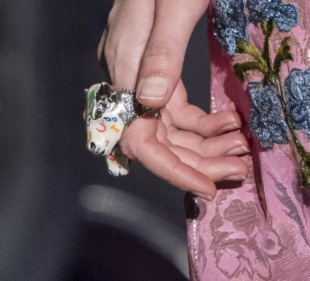 12生肖驾到视频,十二生肖迎接高光时刻