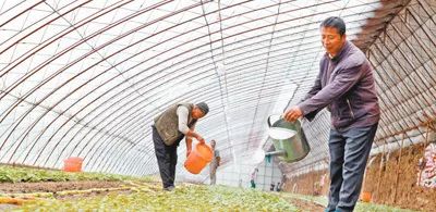 查看一下农民种什么最赚钱,农民种植致富门路