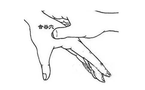 晕车晕机晕船吃什么药有效,晕车晕机晕船哪个最难受