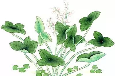 如何解决练拳时腰紧,练拳后浑身疼怎么办