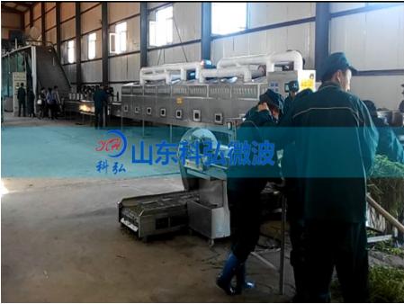 茶叶杀青机是光波好还是微波好用,销售茶叶微波杀青机哪家好