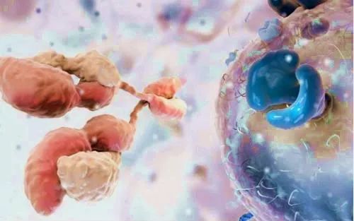 免疫细胞对抗肿瘤的方法,科研人员揭露了炎症和癌症的关系