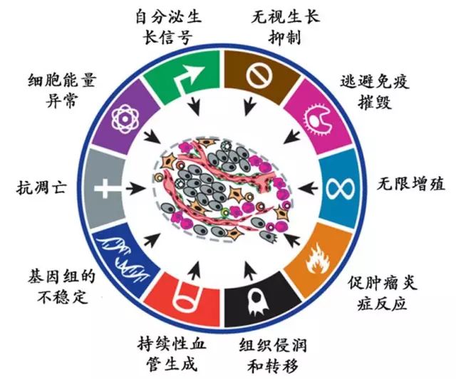 免疫细胞对抗肿瘤的方法,科研人员揭露了炎症和癌症的关系