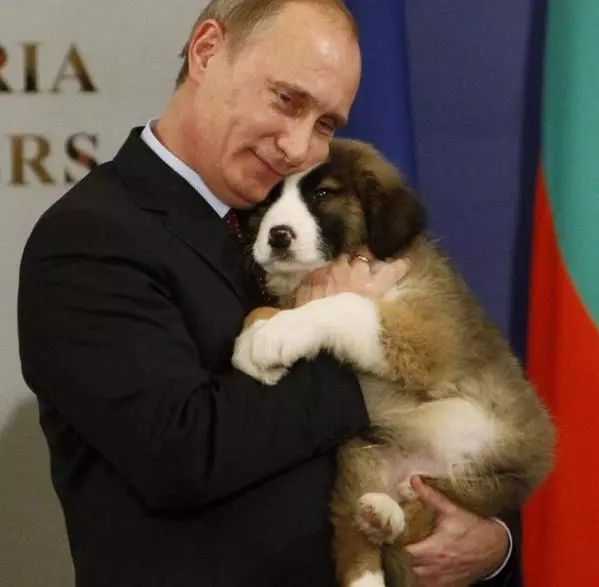 毕竟爱狗｜哈哈哈哈哈哈……听说你们要买狗年单品？我就真的不拦了！