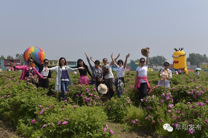 界首有个*瑰园玫**，美爆了！没去别后悔~