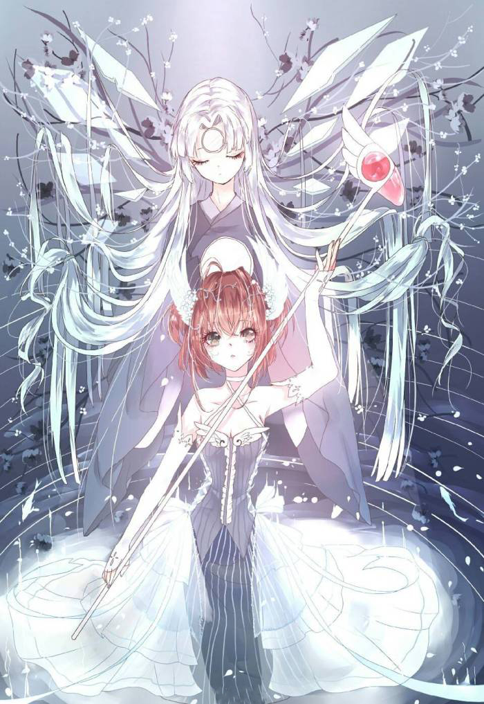 魔卡少女樱知世壁纸,魔卡少女樱小可壁纸