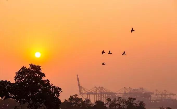 走心厦门自由行攻略超详细,厦门自由行攻略最详细