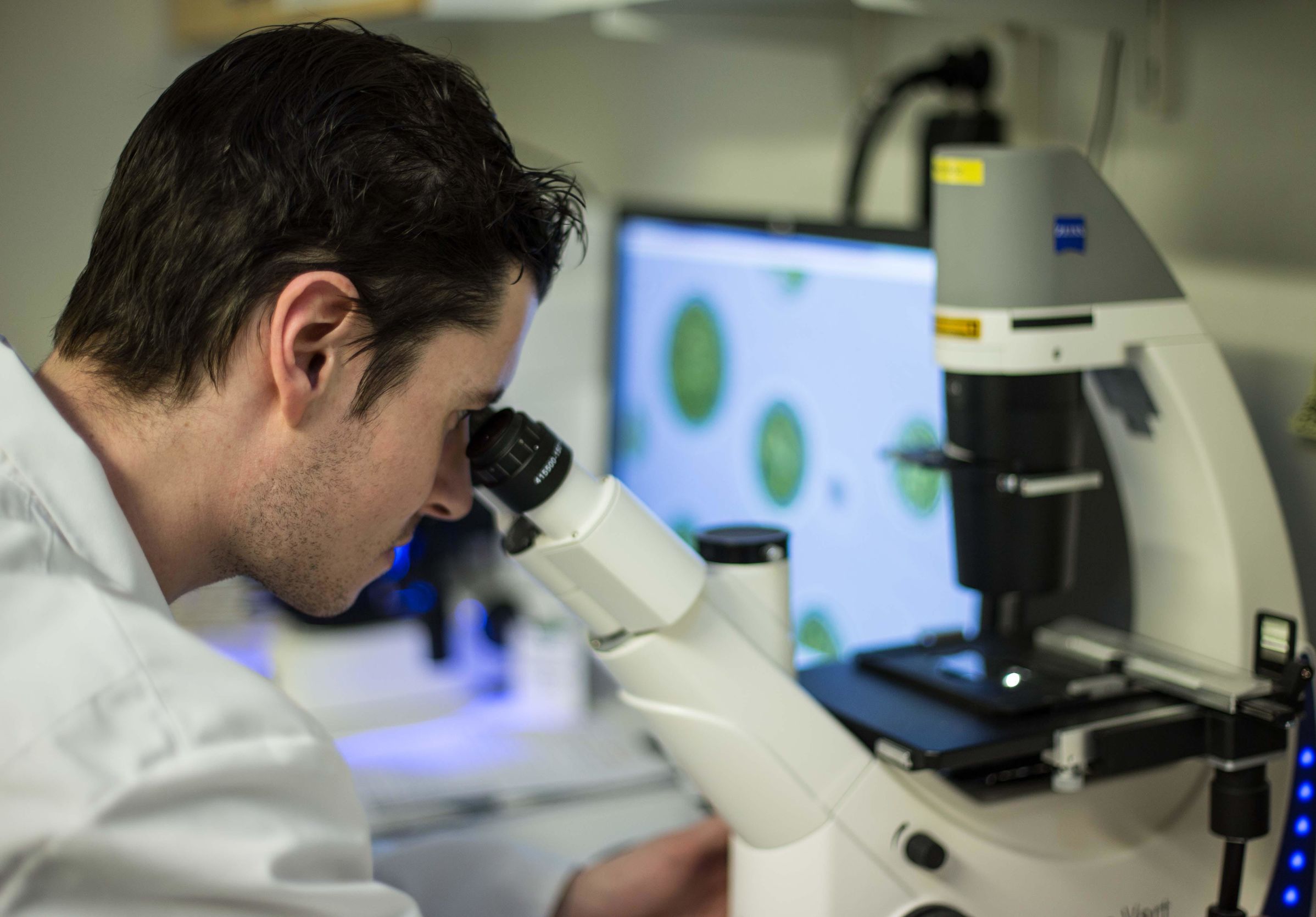 瑞典astaxin拜尔力天然虾青素,瑞典astaxin虾青素有什么用