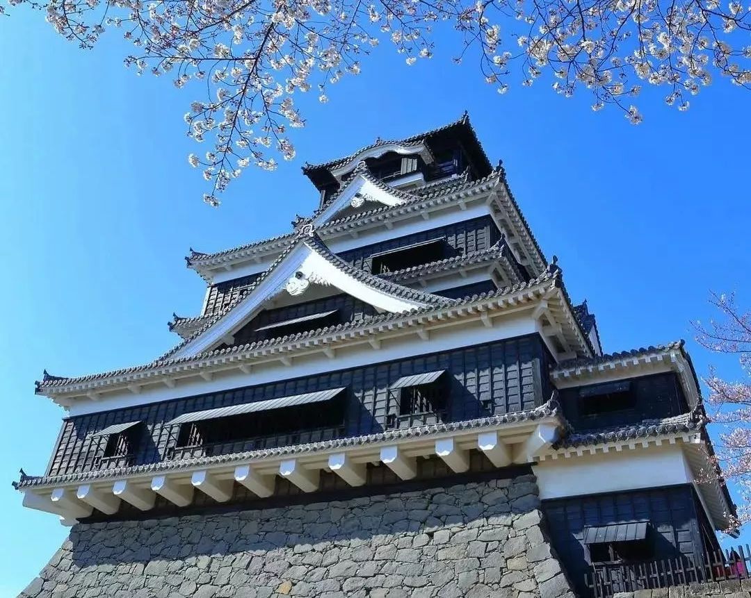 蛙儿子的旅行,蛙儿子旅行攻略