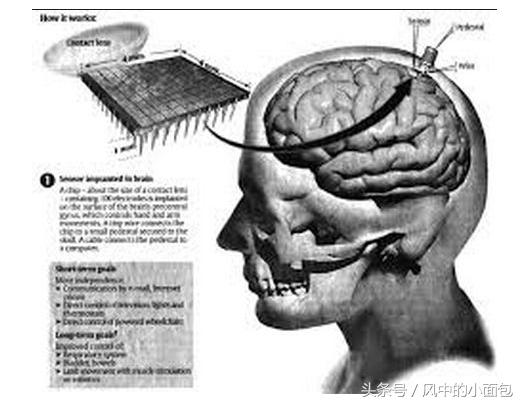一半是科学，一半是冷血，历史上那些臭名昭著的科学实验
