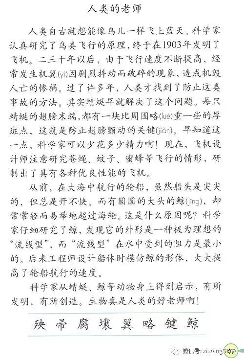 寒假预习复习人教版资料,四年级下册语文书电子版预习