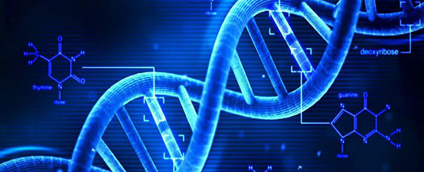 科学家发现逆转衰老基因疗法,科学家发现抗衰老基因