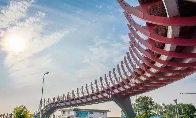 走心厦门自由行攻略超详细,厦门自由行攻略最详细