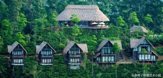 呕心沥血整理干货,呕心沥血积累出的80条临证心得