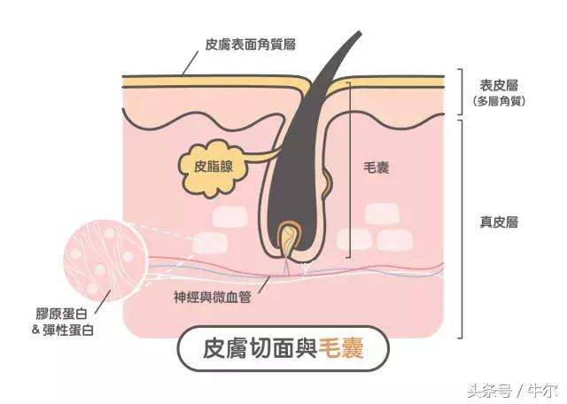 如何解决出油型毛孔粗大问题,毛孔出油粗大如何改善小技巧