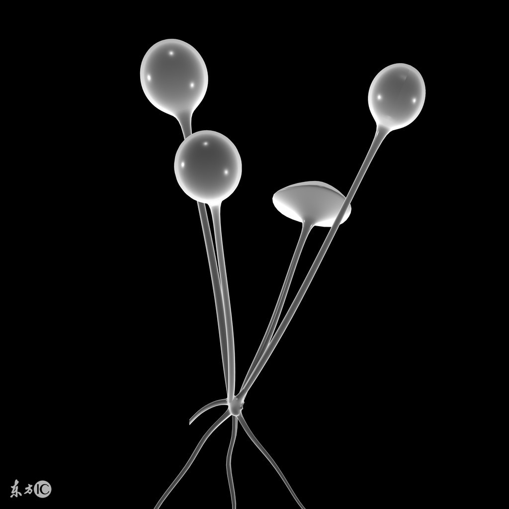 香菇种植有哪些病虫害,香菇虫害防治