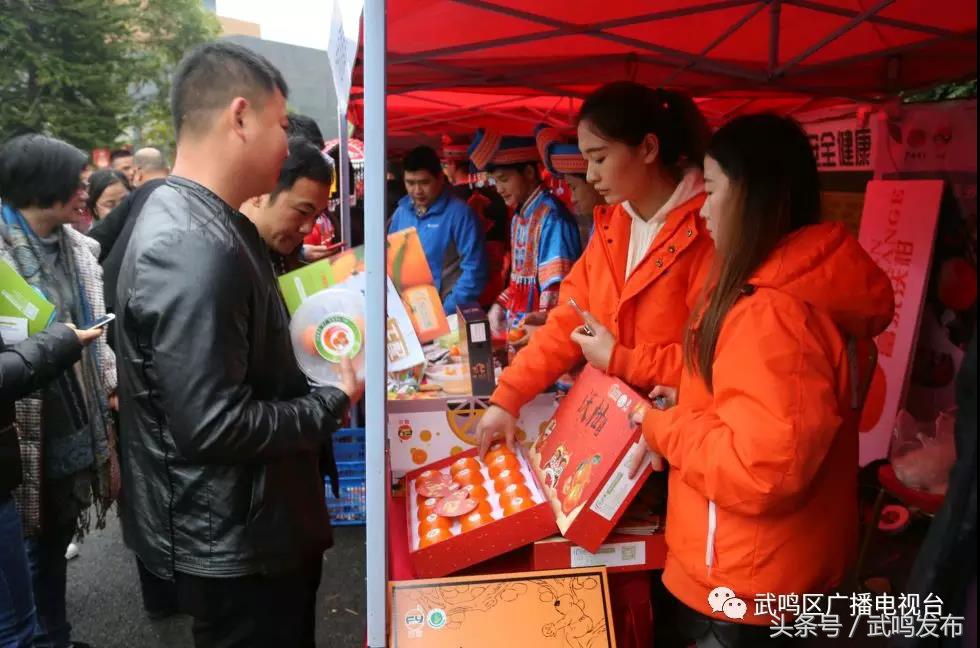 武鸣沃柑开园上市,武鸣沃柑2024发布现场