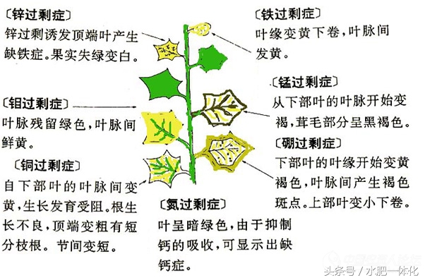农作物生长发育所需的营养元素,作物生长必备元素的作用