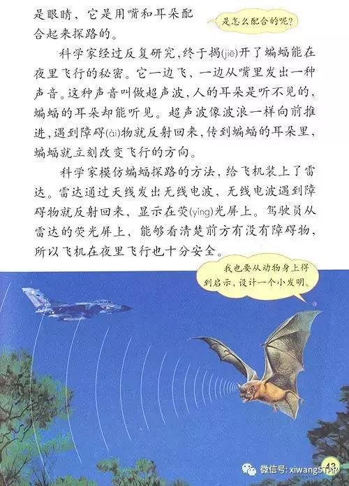 寒假预习复习人教版资料,四年级下册语文书电子版预习