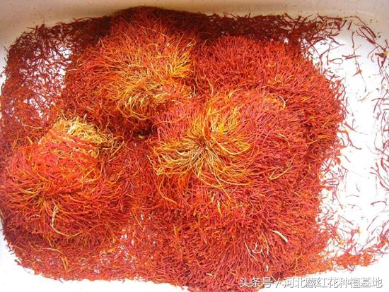 藏红花的味道有一股塑料味,藏红花的味道和功效