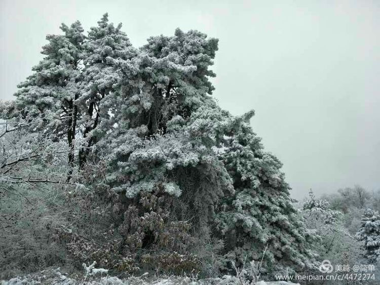 天池长白山雪岭,雨天天池山