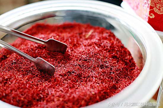 藏红花的味道有一股塑料味,藏红花的味道和功效