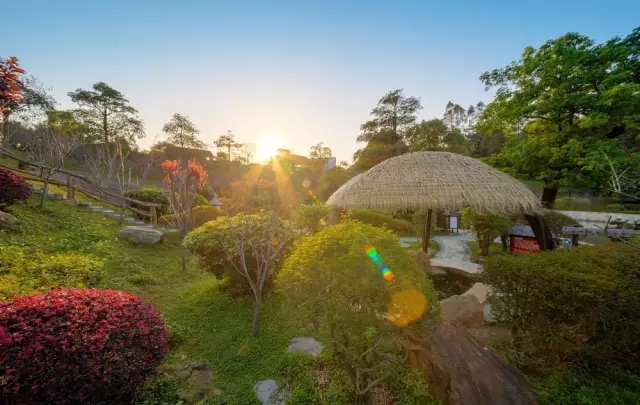佛冈森波拉温泉门票,佛冈森波拉温泉度假村攻略