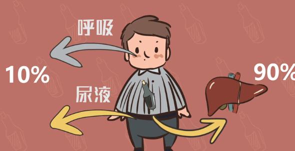 喝酒后红脸和白脸哪个更能喝酒,喝酒红脸和喝酒白脸的哪个身体好