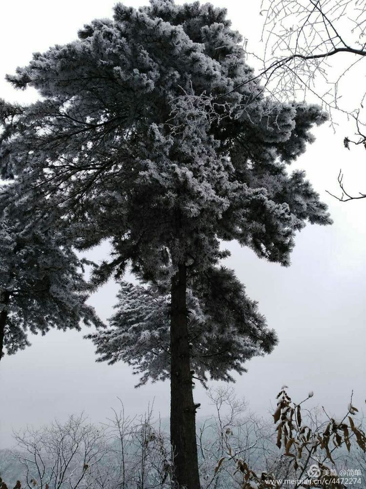 天池长白山雪岭,雨天天池山