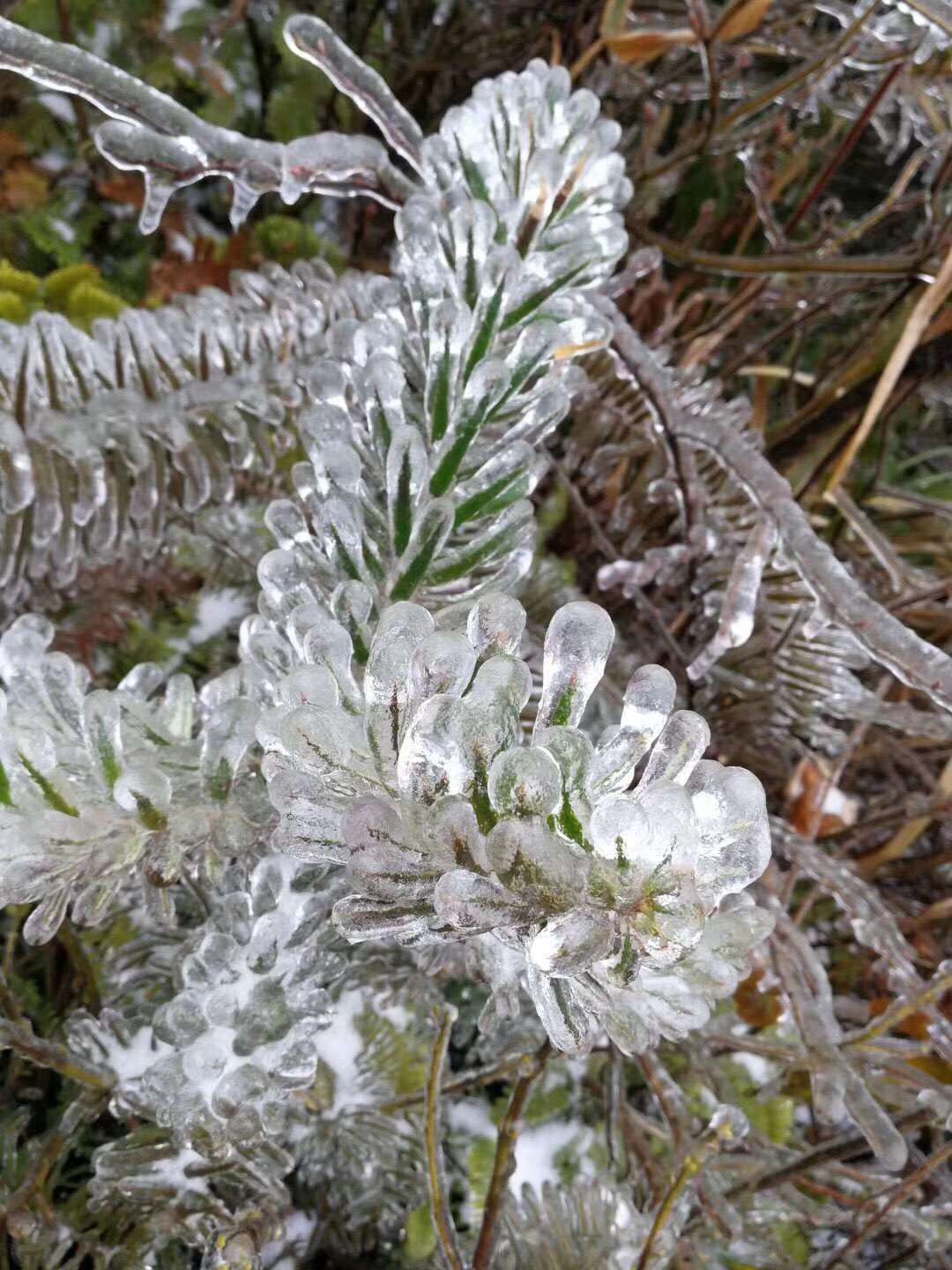 一家三个生病,一家三人癌症