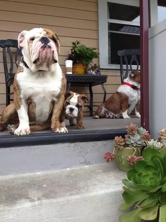 我很丑但是我很温柔是谁谱的曲,我很丑可是我很温柔女生唱