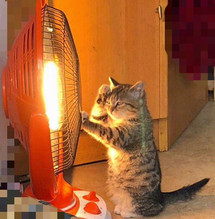 「功血」——本在排卵期，却又来“例假”怎么回事？