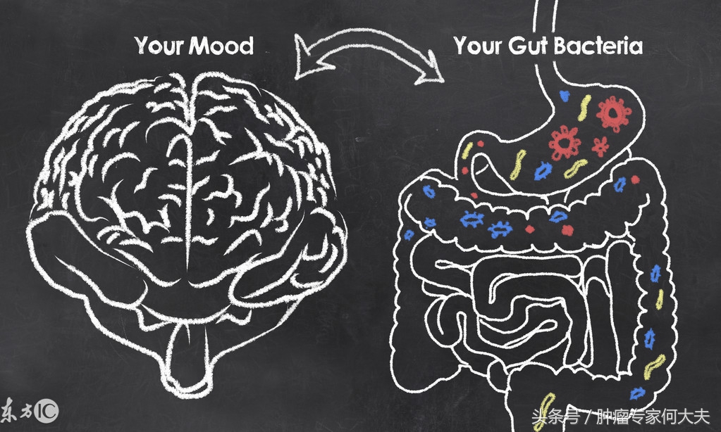 粪便移植可以治疗肠癌吗,粪菌移植治疗肠癌