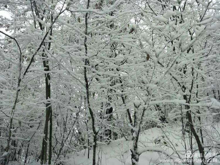 天池长白山雪岭,雨天天池山