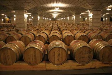 紫轩征文展示：紫轩，我深情的爱恋｜何妮