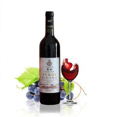 紫轩征文展示：紫轩，我深情的爱恋｜何妮